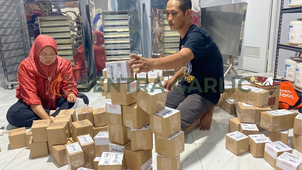 Ilustrasi seorang karyawan kantor sedang memantau laporan produksi bisnis pabrik mini Black Garlic miliknya melalui smartphone di sela waktu kerja.