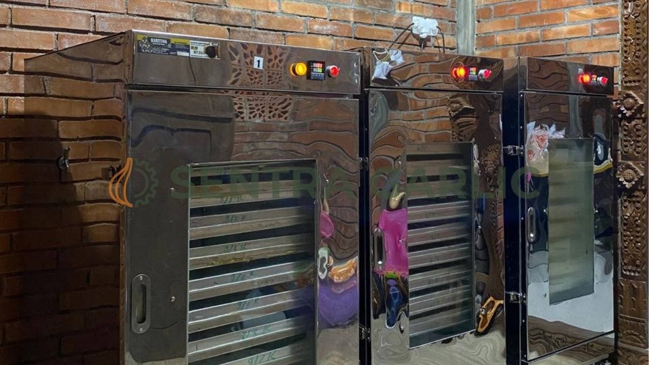 mesin bawang hitam sebagai fondasi utama produksi bawang hitam