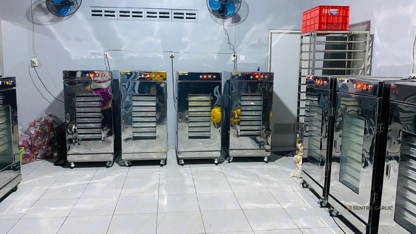 Mesin Produksi Black Garlic Bawang Hitam Sentra Garlic