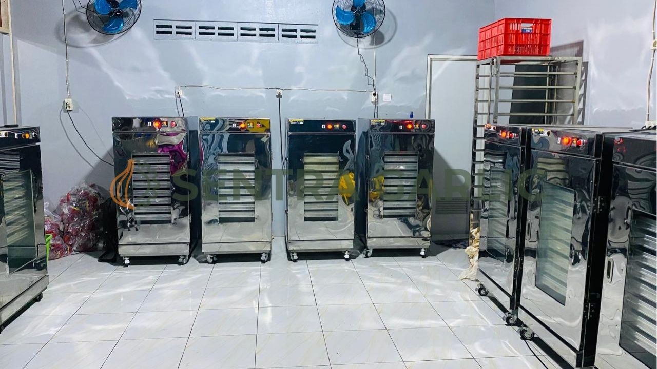 memilih mesin mandiri atau paket produksi bawang hitam terintegrasi