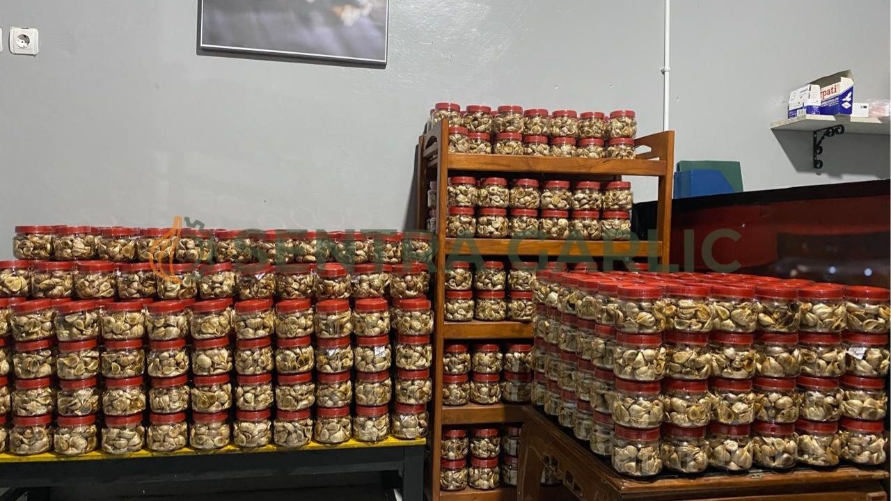 Ilustrasi perbandingan risiko bisnis franchise kuliner yang tinggi biaya operasional dengan bisnis manufaktur Black Garlic yang efisien dan minim risiko.