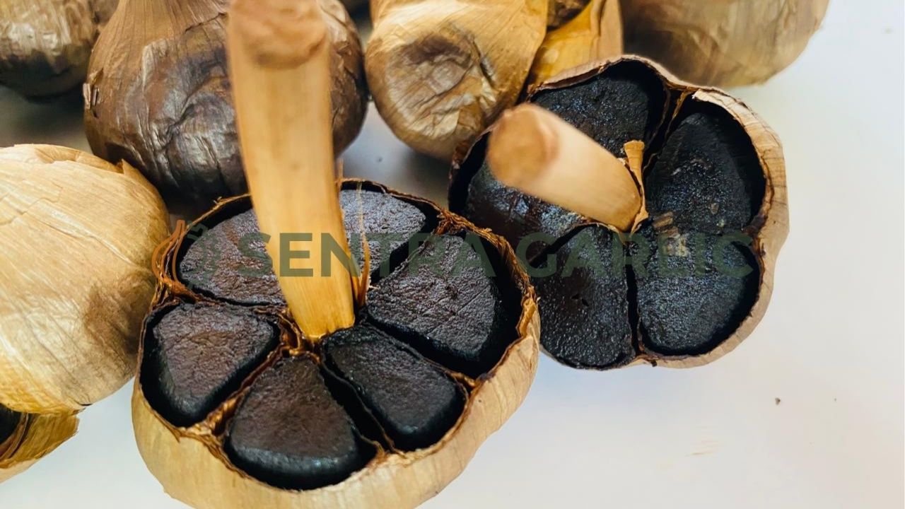 penyebab teknis produksi bawang hitam tidak stabil