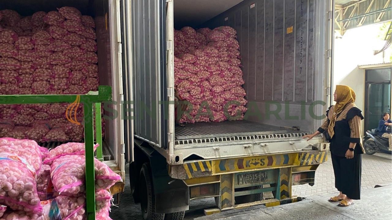 Tumpukan karung bahan baku bawang putih tunggal kualitas impor di gudang Sentra Garlic yang siap didistribusikan ke mitra.